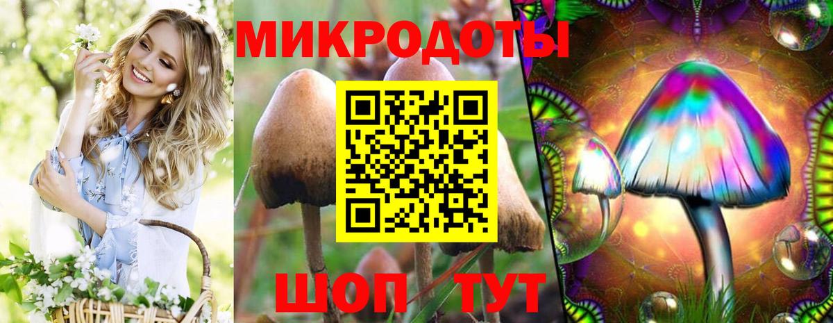 Галлюциногенные грибы прущие грибы Кизляр