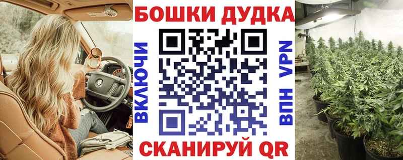 где можно купить   Кизляр  Марихуана White Widow 